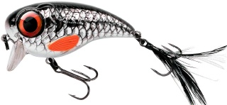 0001_Spro_Fat_Iris_60_[Shining_Roach].jpg